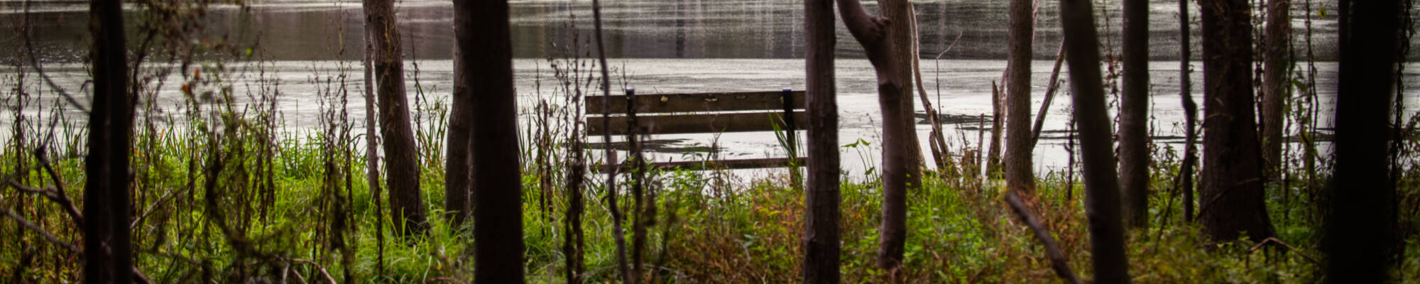 Park bench